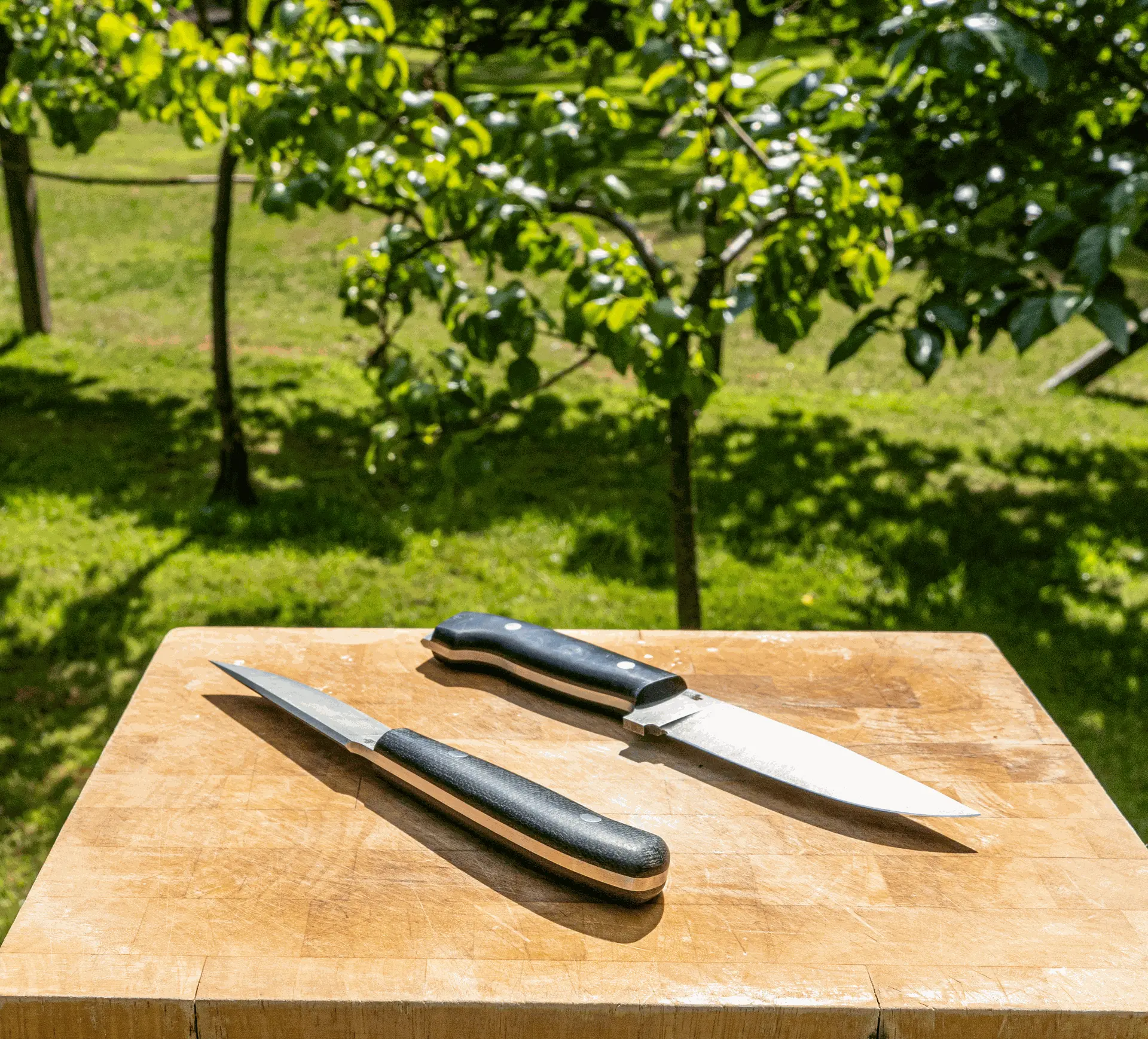 Knives chopping block