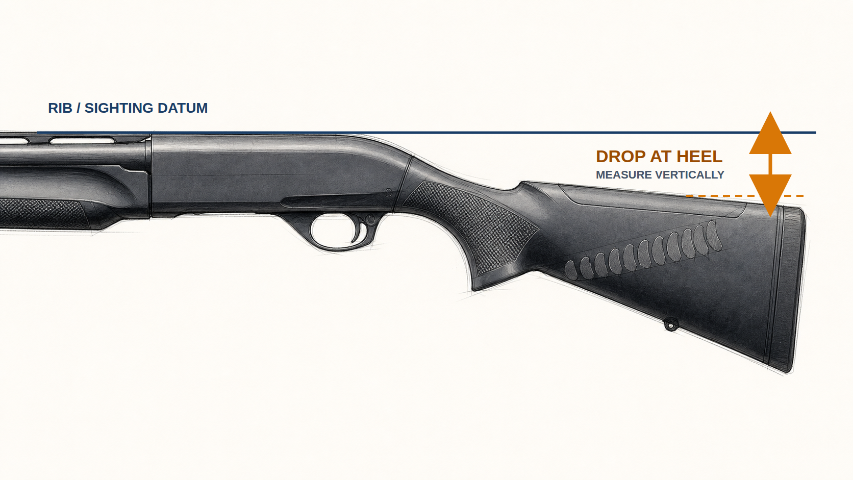 Annotated side sketch showing the rib sighting datum and the vertical drop-at-heel measurement arrow