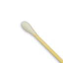 Cotten Swabs - 100 Pack