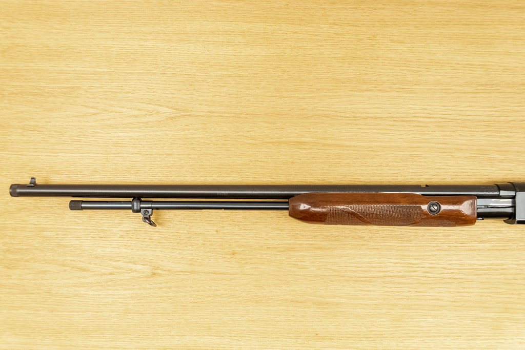 Remington Model 572 Fieldmaster (Used)