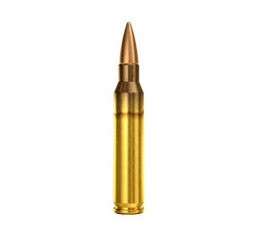 Magtech .223REM 55gr FMJ