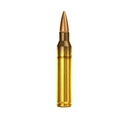 Magtech .223REM 55gr FMJ