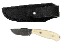DSC02967.webp