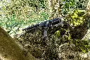 DSC03105.webp