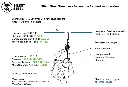 Silent Steel Streamer - Generation 3 sound suppression.webp