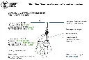 image_1024.webp