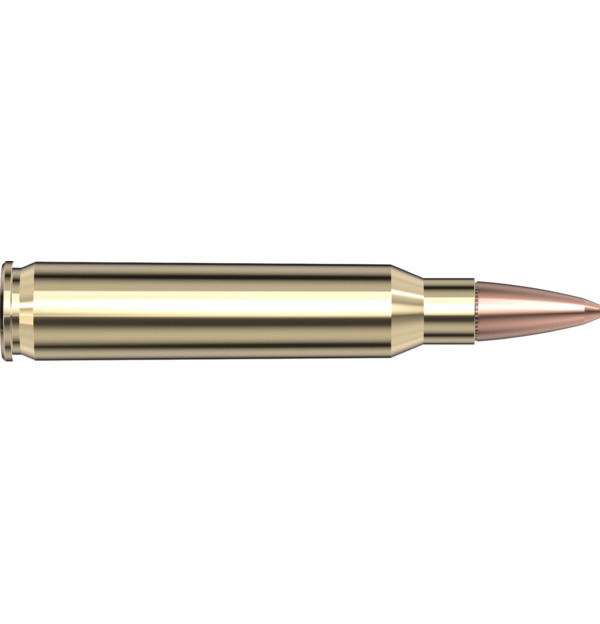 Hornady FR160 .223 Rem 68gr BTHP Match cartridge