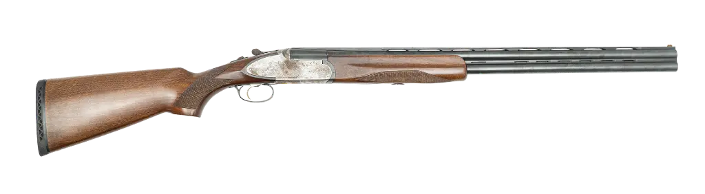 rizzini.webp