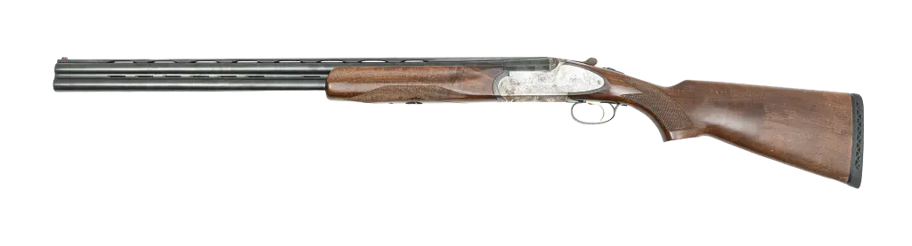 rizzini2.webp