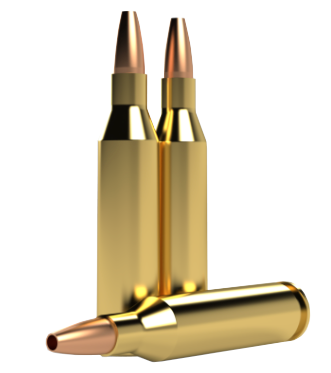 Wapiti .243 WIN 85gr C-HP