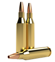 Wapiti .243 WIN 85gr C-HP