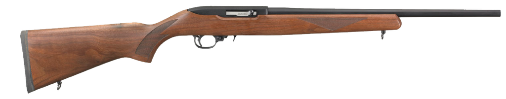 Ruger 10/22