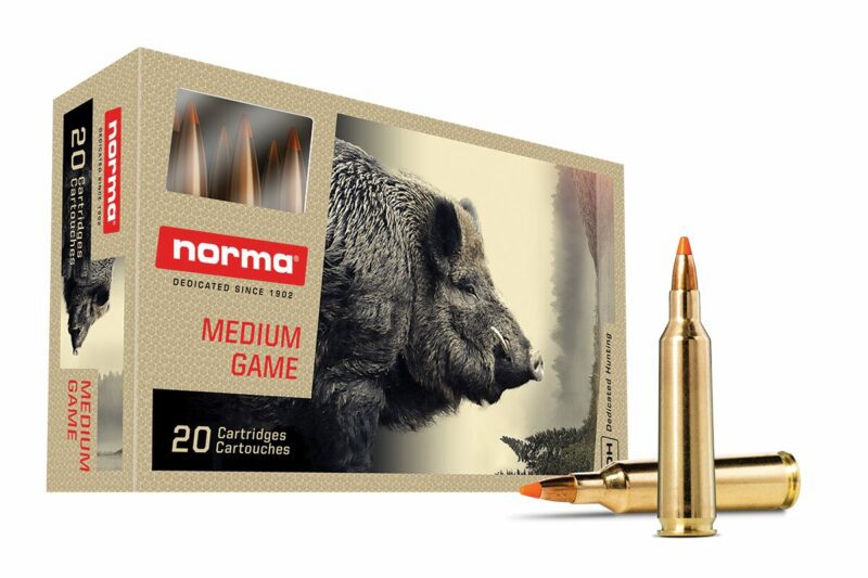 Norma .22-250 REM 55gr Tipstrike