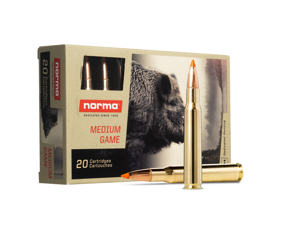 Norma .308 WIN 170gr Tipstrike