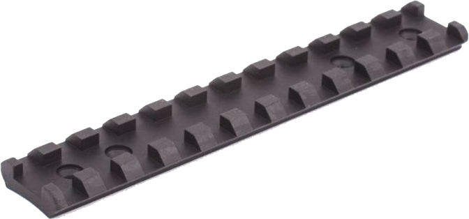 Ruger 10/22 Rail