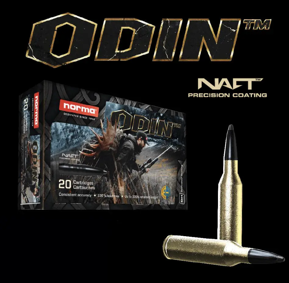 Norma .30-06 180gr ODIN™