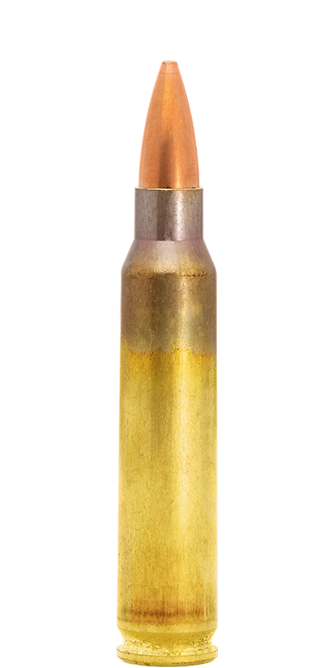 Lapua .223 REM 69gr Scenar-L