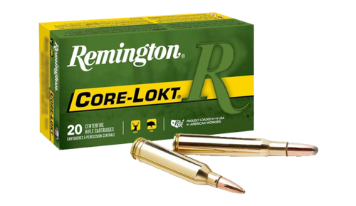 [R303B1] Remington .303BRITISH 180gr Core-Lokt SP