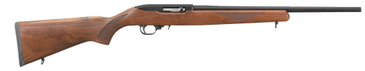 Ruger 10/22